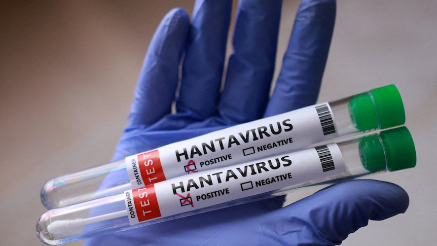 Virus Hantavirus Outbreak